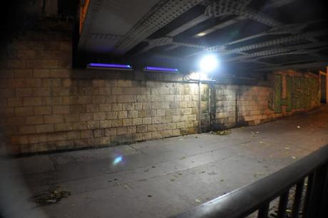 Monkey Eyes (143) Under the Bridge