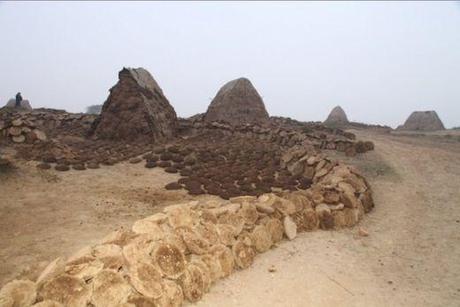 Cliquer pour agrandir Rakhigari pourrait apporter des réponses sur l'énigmatique civilisation de l'Indus