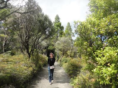 Nouvelle Zélande, Ile du Nord en van Nouvelle Zélande, Ile du Nord en van