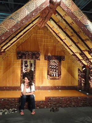 Nouvelle Zélande, Ile du Nord en van Nouvelle Zélande, Ile du Nord en van