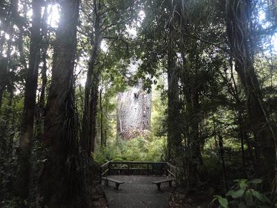 Nouvelle Zélande, Ile du Nord en van Nouvelle Zélande, Ile du Nord en van