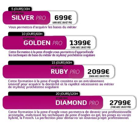 Nouvelles formules de formation à la Prothésie Ongulaire chez Sensationail tableau-2013-530px