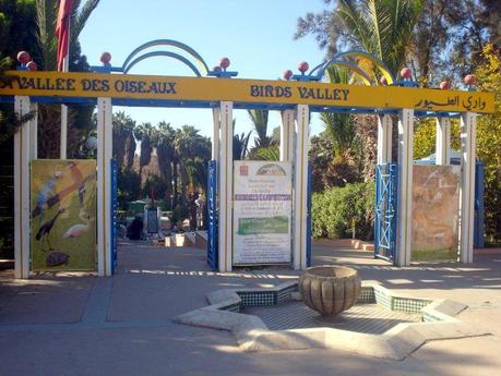 Tajine de poulet aux coings pdt et cristophines Tajine de poulet aux coings pdt et cristophines