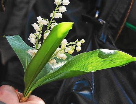 VN1ERMAI 4 col Premier mai sinistre