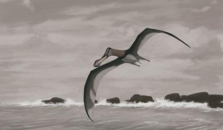 Les paléontologistes reconstruisent la vie de sauriens fossile птерозавр динозавр