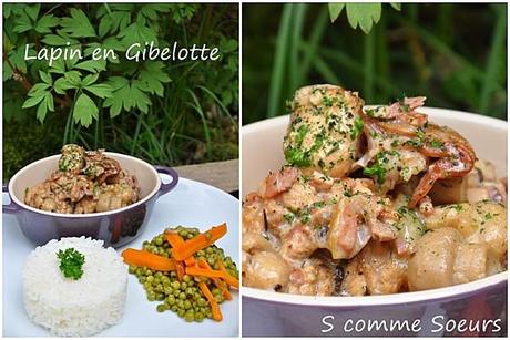 Lapin en gibelotte lapinveloutéenfants