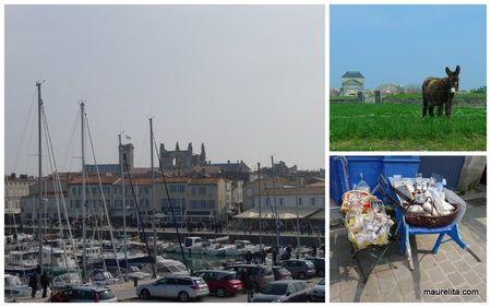 St-martin-de-re St-martin-de-re