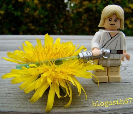 Cramaillotte Decoupe-Pissenlit-Luke-Skywalker