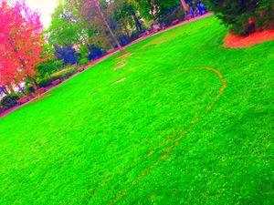 Sauvez le Parc GEORGES STEINBACH souscription publique #Mulhouse c'est urgent IMG_2699