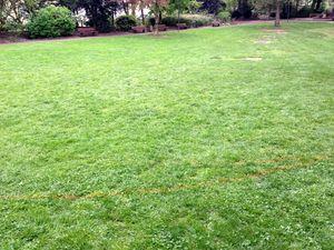 Sauvez le Parc GEORGES STEINBACH souscription publique #Mulhouse c'est urgent IMG_2700