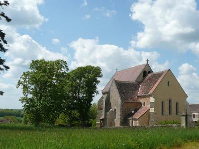 Lys Saint Georges Lys Saint Georges