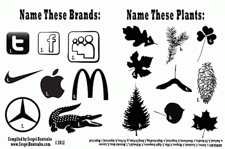 Name-these-Brands_WOO-1024x682.png