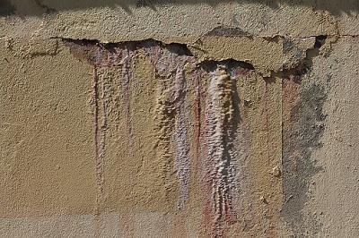 Les murmures d'un mur Les murmures d'un mur