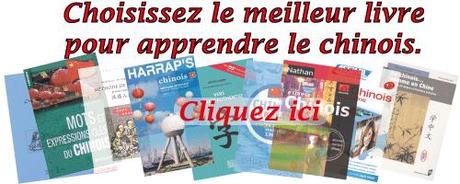 Critique : Chinois guide de conversation livre-chinois