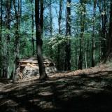 Chris Drury – Land Art Cloud Chamber for the Trees and Sky