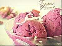 frozen yogourt blueberries 3