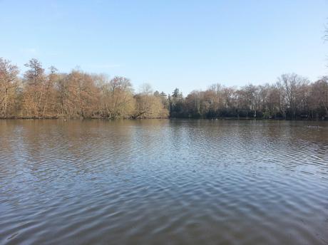 galaxys31 Galerie de photos : Lumia 920 PR 1.1 vs GS3