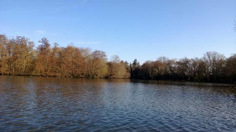 lumia920-16 Galerie de photos : Lumia 920 PR 1.1 vs GS3