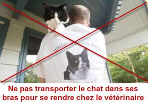 Comment gérer un chat peureux en consultation : mesures préventives ( Partie II) chat_transporte_dans les bras_non