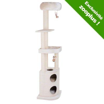 Comment gérer un chat peureux en consultation : mesures préventives ( Partie II) arbre_chat_catherine