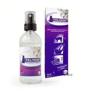 Comment gérer un chat peureux en consultation : mesures préventives ( Partie II) FELIWAY-SPRAY
