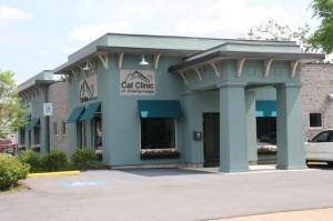 Comment gérer un chat peureux en consultation : mesures préventives ( Partie II) clinique_feline