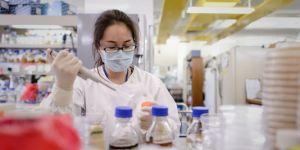 Actualité du 08/05/2013 3173544_3_43ce_le-nouveau-coronavirus-ncov-dans-le-jargon_86396a1a01f5fbd05837f1adb02ef93c