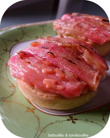 °rhubarbe, orange & gingembre° P5083425