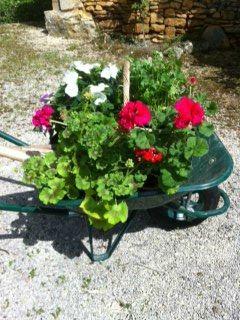 Il pleut à verse ! photo (2)