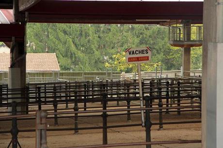 L’amour est dans le pré foire3