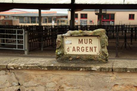 L’amour est dans le pré foire5