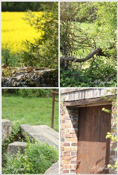 A la campagne.... NATURE2