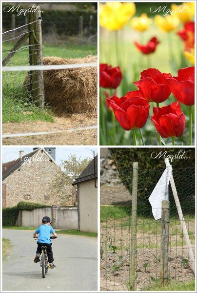 A la campagne.... NATURE3