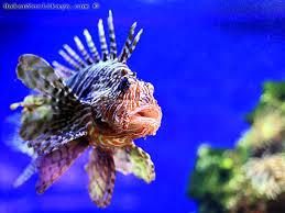 musée Sortie à Monaco le 6 juin