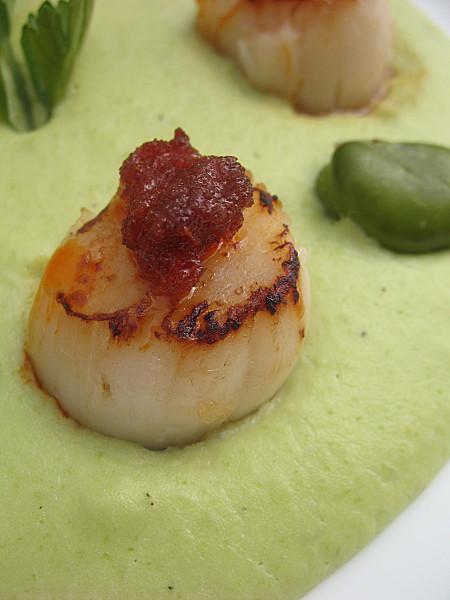 CREME DE FEVES ET ST JACQUES POELEES A LA SOBRASADA 080412 saint jacques sobrasada et crème de fèves 002