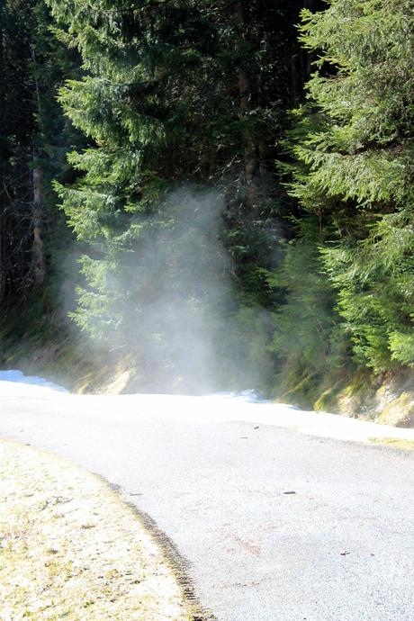 Lacs Pavin et Montcineyre Lacs Pavin et Montcineyre