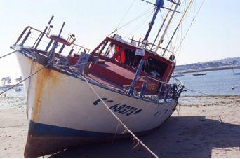 La Bigorne II bigorne4