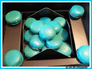macarons bleus 011