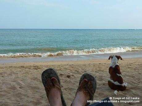 Un samedi, une photo sri lankaise #52 Un samedi, une photo sri lankaise #52