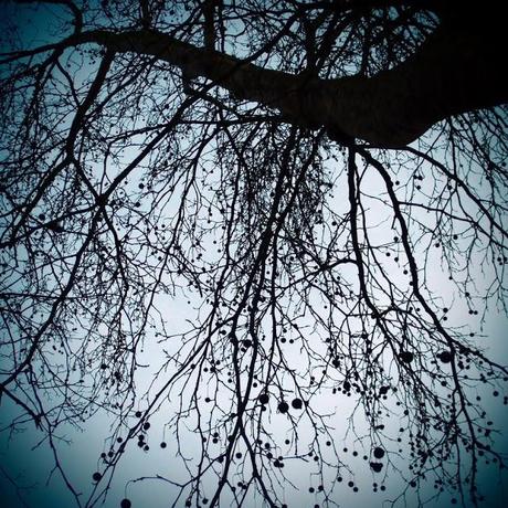 Regarde le ciel ! Regarde le ciel !