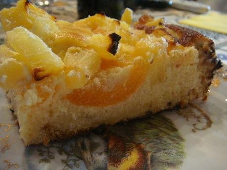 GATEAU FOND BRIOCHé AUX ABRICOTS INRATABLE DSC02334