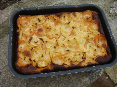 GATEAU FOND BRIOCHé AUX ABRICOTS INRATABLE DSC02331