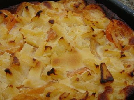 GATEAU FOND BRIOCHé AUX ABRICOTS INRATABLE DSC02333