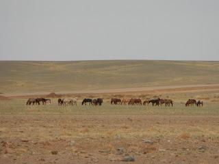 Lao Cai - Chine - Sainchand (Mongolie)