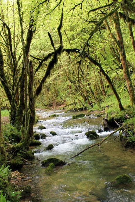 La cascade de la Fouge La cascade de la Fouge