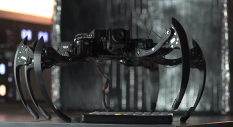 Hexapode et Animatronique dans le clip de Jack Conte Pedals