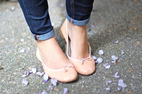 Les Glycines Les Glycines