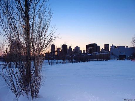 Tribulations d’une journaliste noctambule à Montréal Vue sur Montréal depuis le Vieux Port