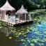 Bretagne : 11 hébergements insolites au coeur de la nature le Domaine des Ormes (35), cabane sur l'eau la Dérive
