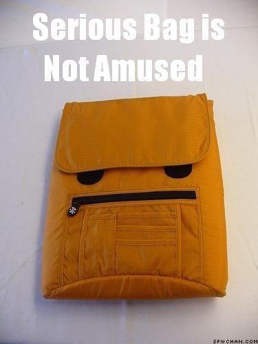 La chronique blasé du mercredi serious_bag_is_not_amused